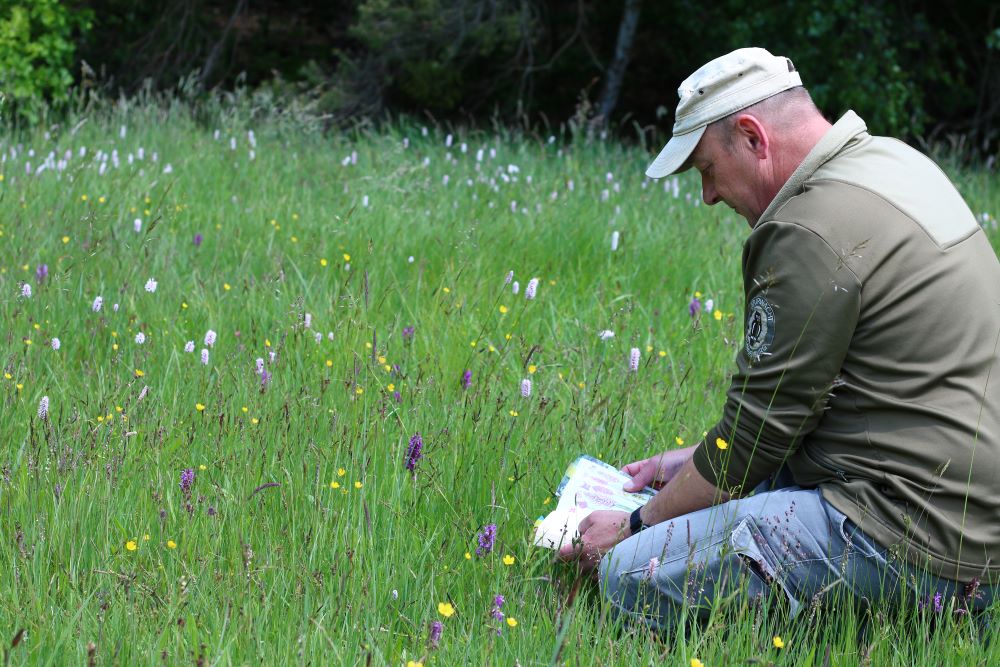 Ranger Dirk Krone_Orchideenmonitoring_Cara Böker