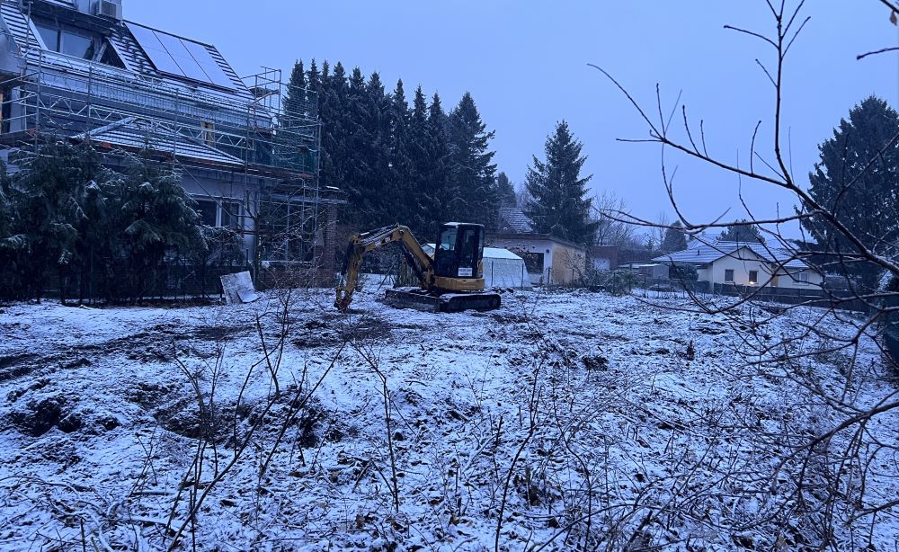 Foto 3 Gerodete Fläche, Blick Richtung Nachbargrundstück