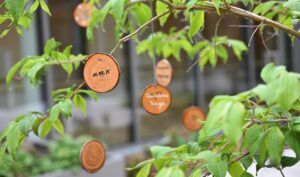 HSL_Hospiz_Wandlitz_26