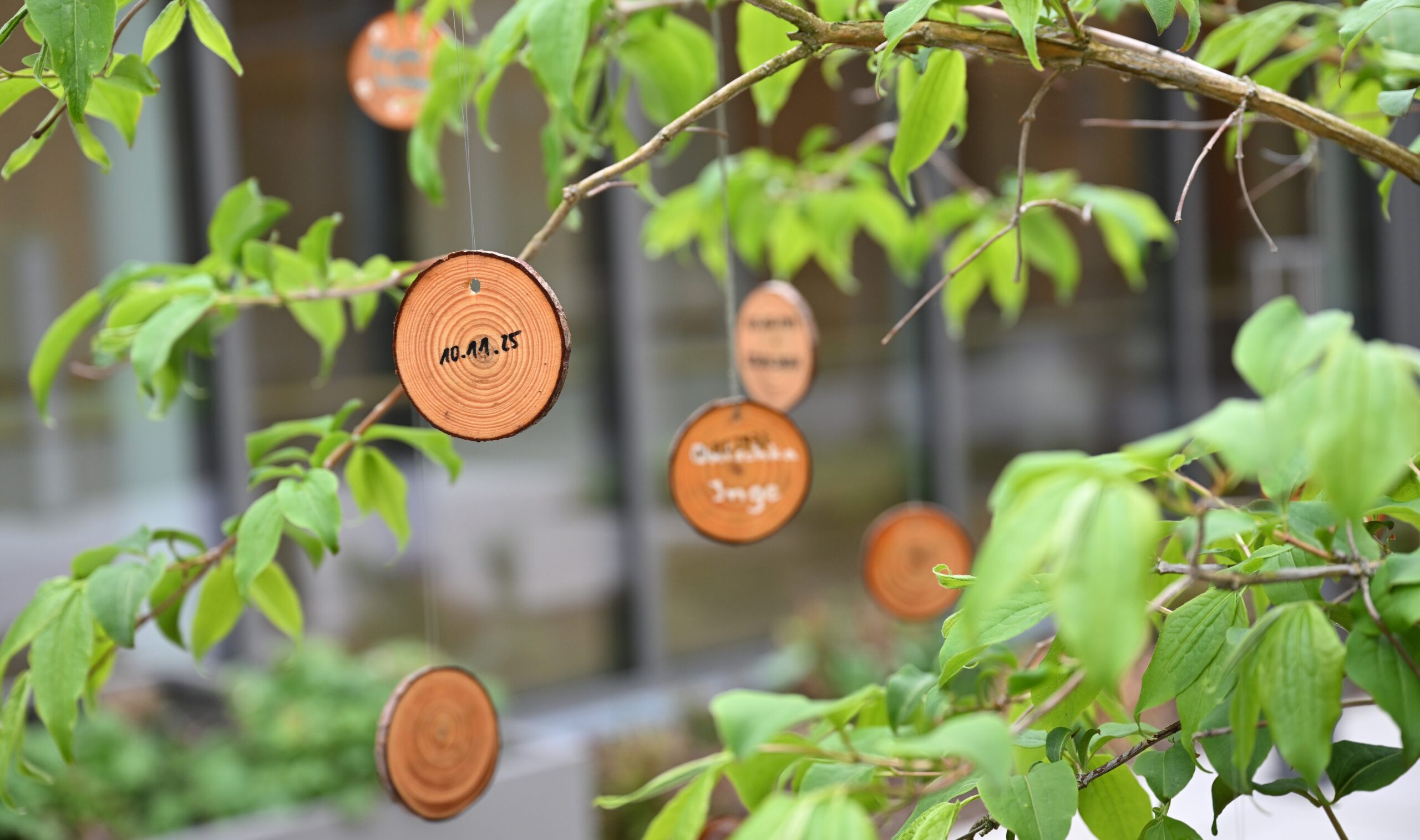 HSL_Hospiz_Wandlitz_26