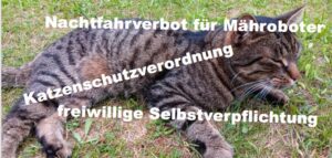 gesetze Katze_titel