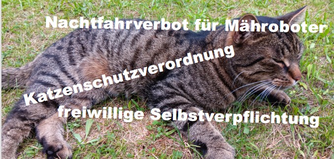 gesetze Katze_titel